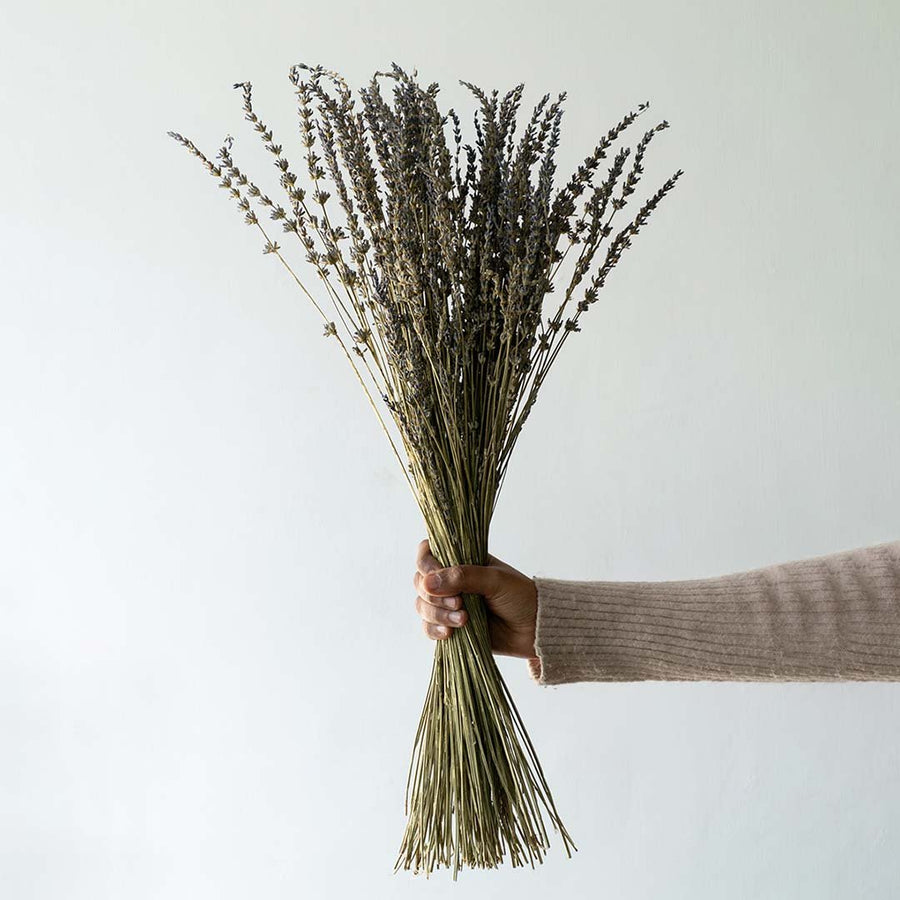 Natural dried grass bouquet held by hand for rustic home decor vase styling and modern interior decoration inspiration.