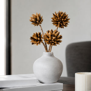 Magnolia Dried Flower - Brown