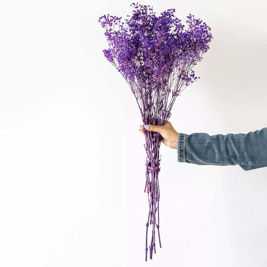 Purple dried flower bouquet held by hand for farmhouse vase styling and elegant home decor inspiration.