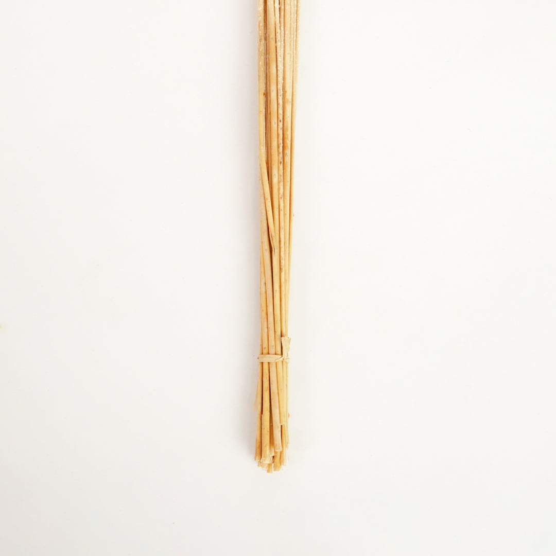 Closeup of natural beige dried decorative wildflower stalks bundle for neutral rustic minimalist farmhouse home decor.