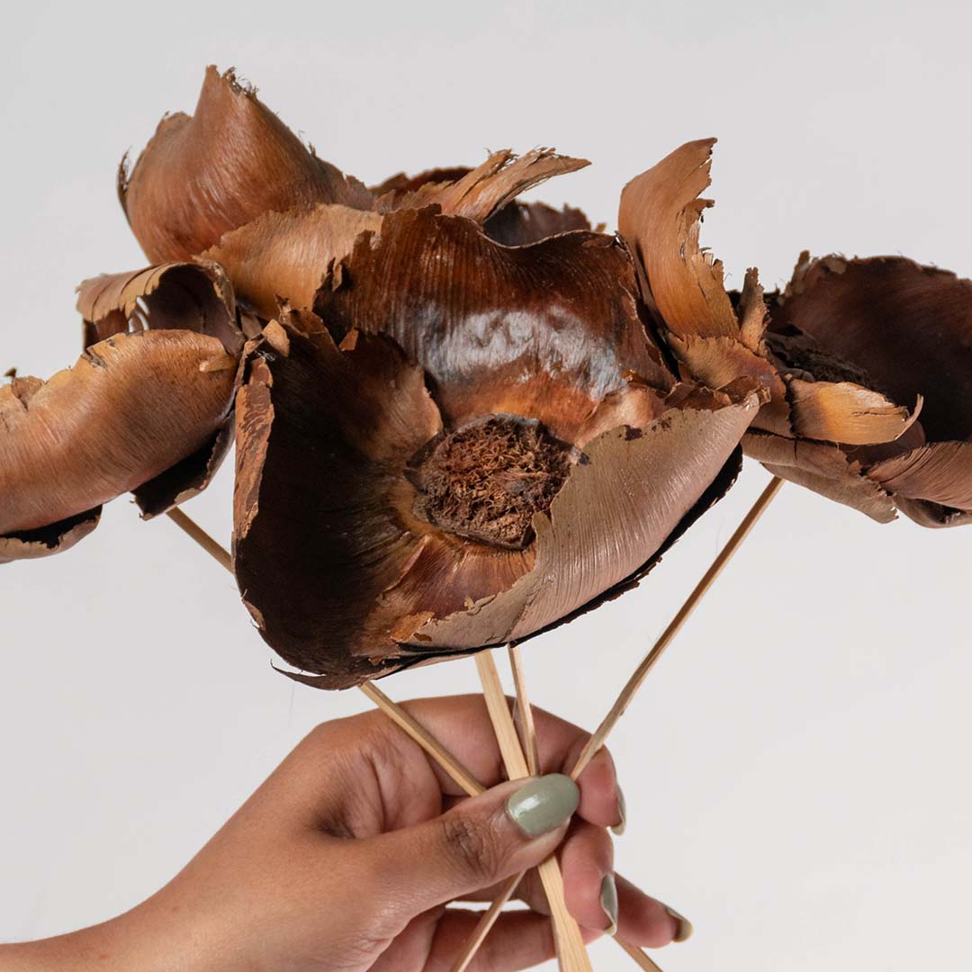 Hand holding a closeup of natural brown dried woody pod flower stems for unique rustic bohemian tabletop vase decoration.