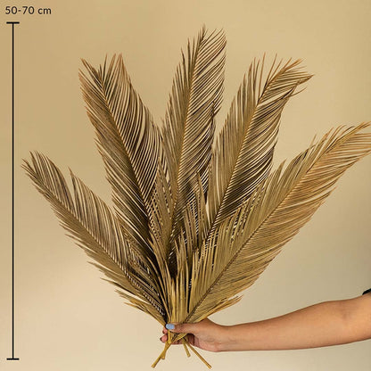 Golden dried palm leaves 50 to 70 cm long shown on beige background for decor size reference display.