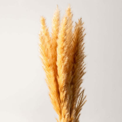 Natural dried pampas grass in clear glass vase with beige leather strap detail ideal for table centerpiece decor.