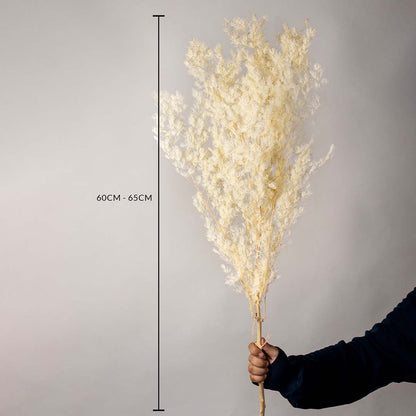 Artificial pampas grass stem 60 to 65 cm tall in beige white shade with natural wood stick ideal for vases and home decor use.