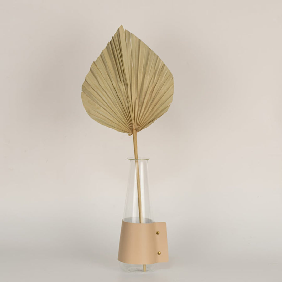 Natural beige dried palm leaf styled in a warm modern room adding earthy organic texture to contemporary home decor.
