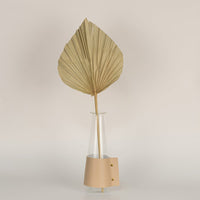 Natural beige dried palm leaf styled in a warm modern room adding earthy organic texture to contemporary home decor.