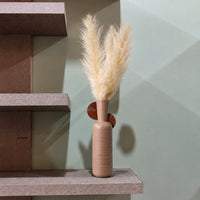 A ribbed terracotta ceramic vase with a matching round lid, holding dried pampas grass, styled on a textured stone shelf against a sage green wall.