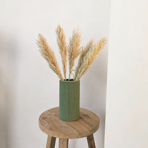 Medium Pampas Grass - Beige