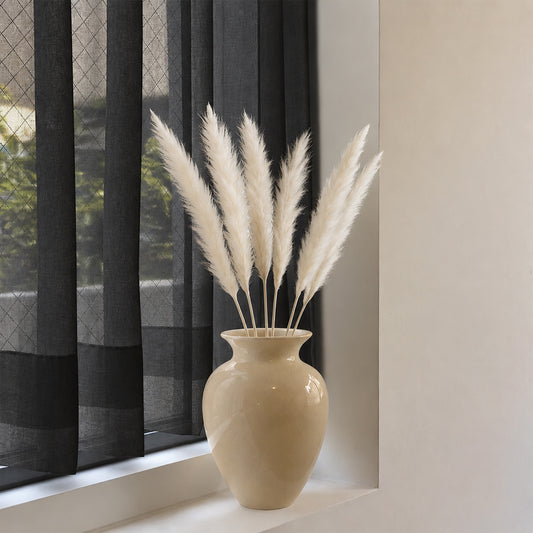 Small Pampas Grass - White