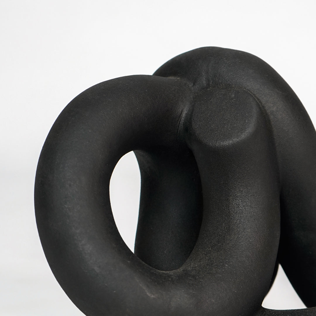 Closeup image of black resin abstract knot decor sculpture for modern shelf placement with smooth matte texture.
