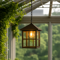 Falcon Outdoor Hanging Light - Bronze