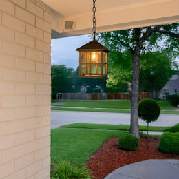 Falcon Outdoor Hanging Light - Bronze