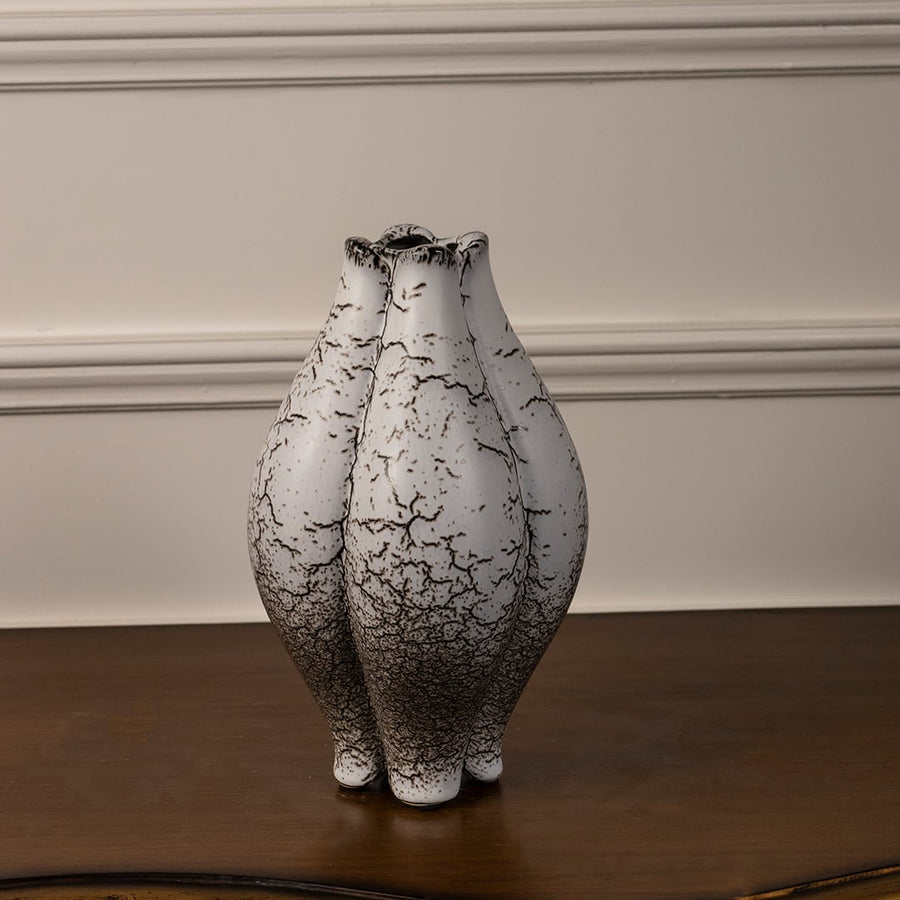 Crackle glazed ceramic vase displayed on white background highlighting its artistic texture and organic shape.