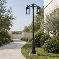 Modern industrial black metal double head lamp post light for backyard courtyard concrete pathway walkway landscape design.