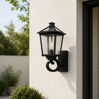 Ginara Outdoor Wall Light