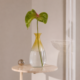 Goccia Glass Vase