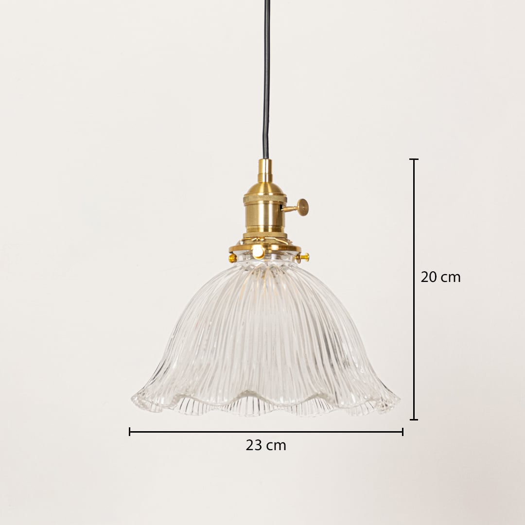 Clear fluted glass and brass pendant light dimension image with 23 cm width and 20 cm height for modern dining placement.