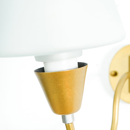 Closeup image of gooseneck brass swivel wall sconce with frosted glass shade for elegant modern home interior decoration.