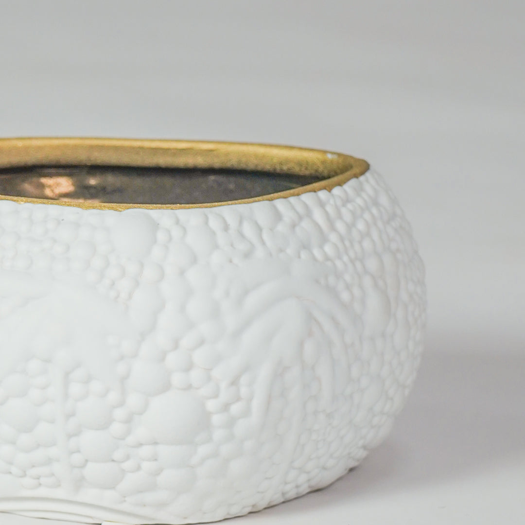 Closeup image of white ceramic textured bowl with gold rim for elegant dining table decor styling and modern finish.