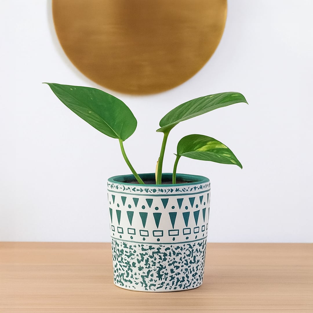 A decorative ceramic planter with teal and white patterns styled in a soft setting showing its artistic detailing for a modern home decor look.