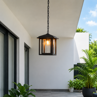 Harlyn Outdoor Hanging Light - Medium