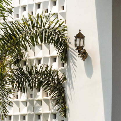 Antique gold traditional wall lamp with clear glass mounted on white decorative breeze block wall beside palm trees.