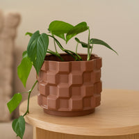 Brown geometric ceramic planter styled in a modern interior perfect for consoles living rooms and elegant contemporary home decor accents.
