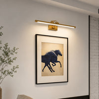 Modern gold metal LED picture light for artwork gallery hallway and living room wall decor with warm illumination.