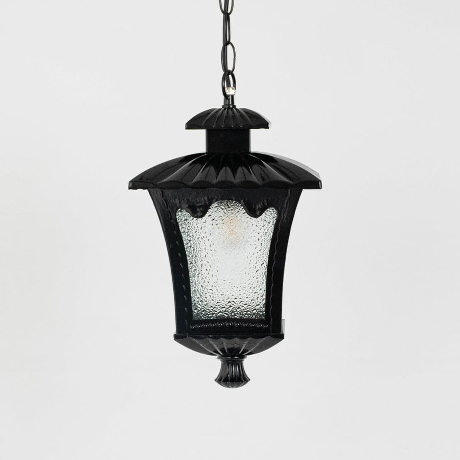 Black outdoor lantern light on white background highlighting elegant curved top and frosted glass texture.