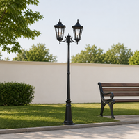 Vintage black metal double head garden lamp post light for backyard lawn pathway walkway garden landscape design styling.