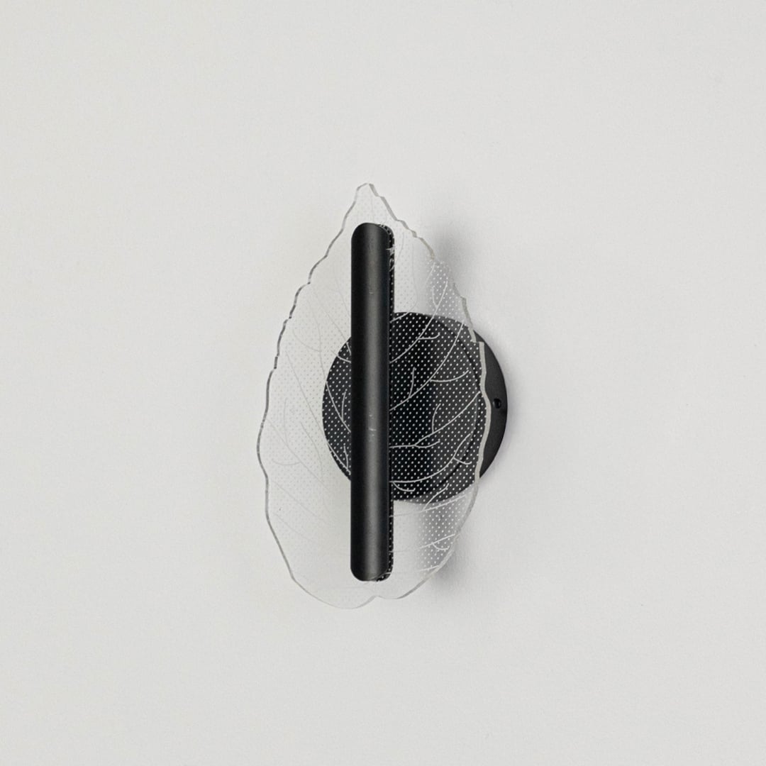 Black wall light with leaf shaped acrylic shade shown on a bright white background with lights off for product clarity.