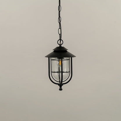 A classic outdoor hanging lantern displayed with the light off against a white background showing its clear glass shade and structured metal frame.