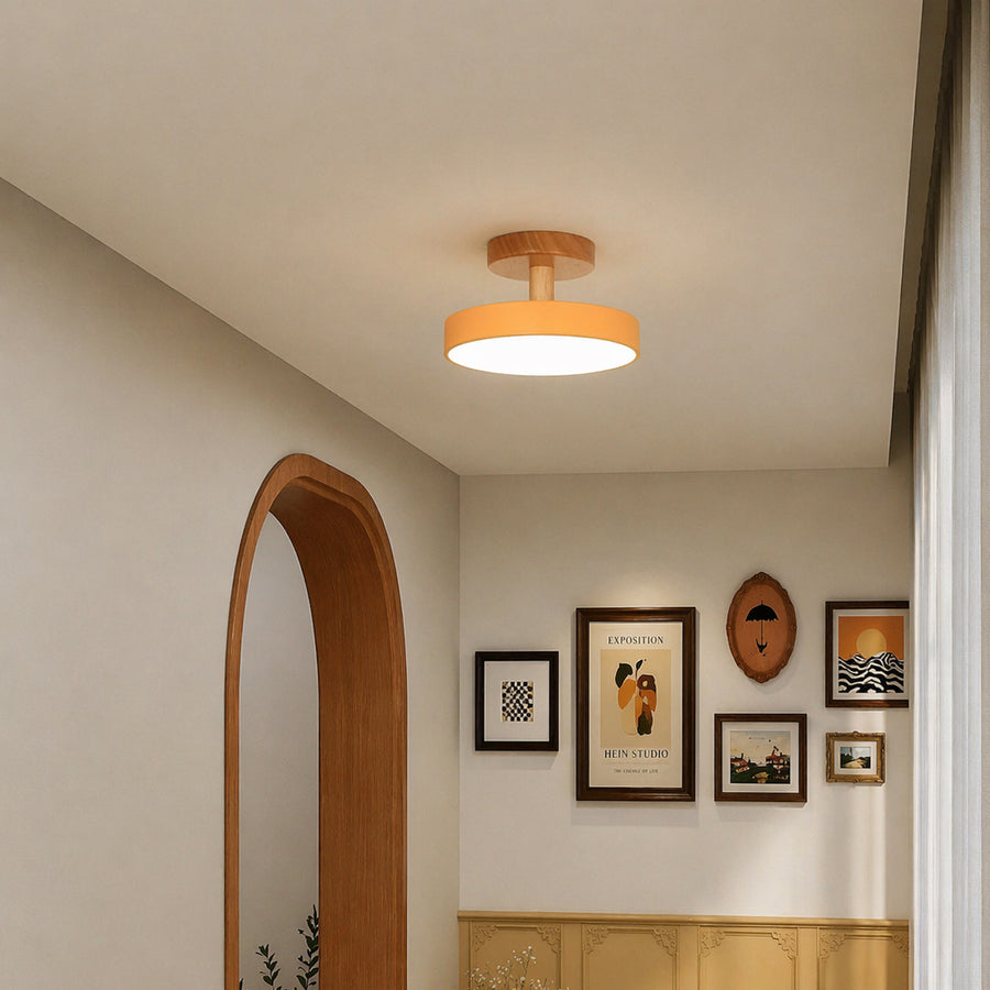 Modern peach ceiling light with wooden accents in cozy hallway for minimalist home decor and ambient lighting.