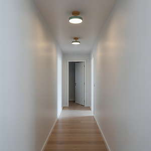 Macaron Loft LED Ceiling Light - Green