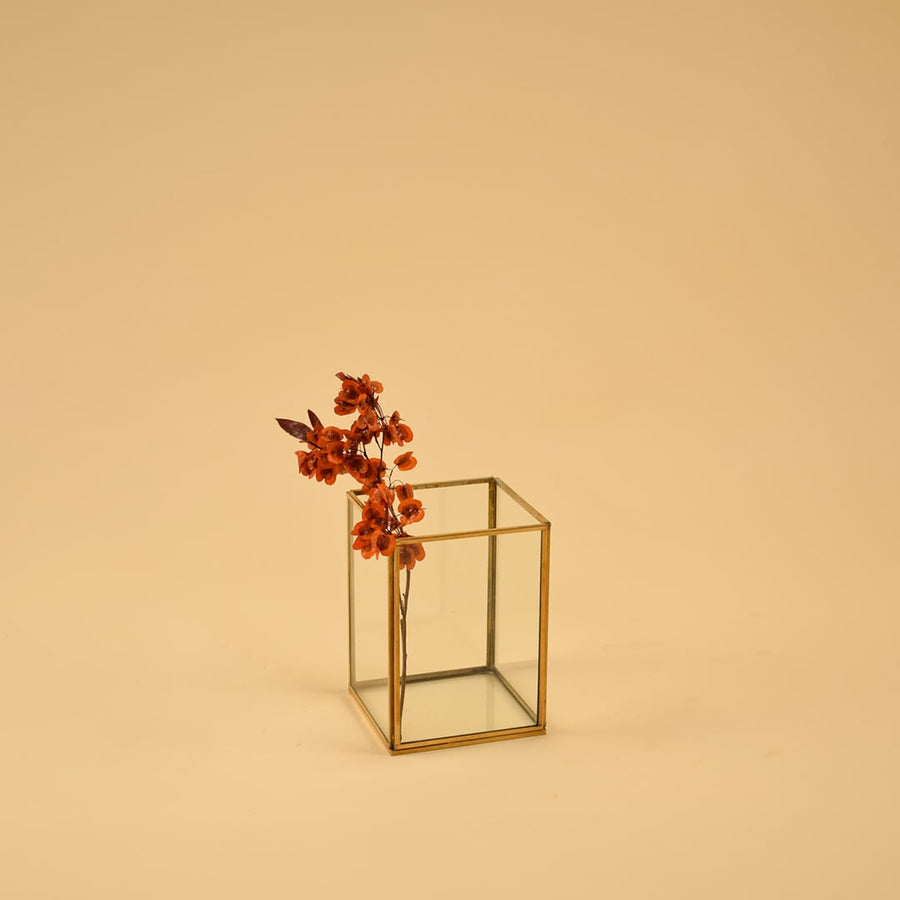 Minimalist rectangular glass vase with brass frame and single stem for refined modern home decor and table styling.