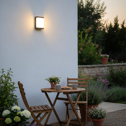 Modern wall light with black frame and frosted white shade illuminating exterior wall for elegant home lighting.