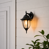 Traditional black aluminum tapered cage glass wall lantern fixture on white horizontal siding for exterior porch decor.