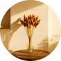 dried-botanicals