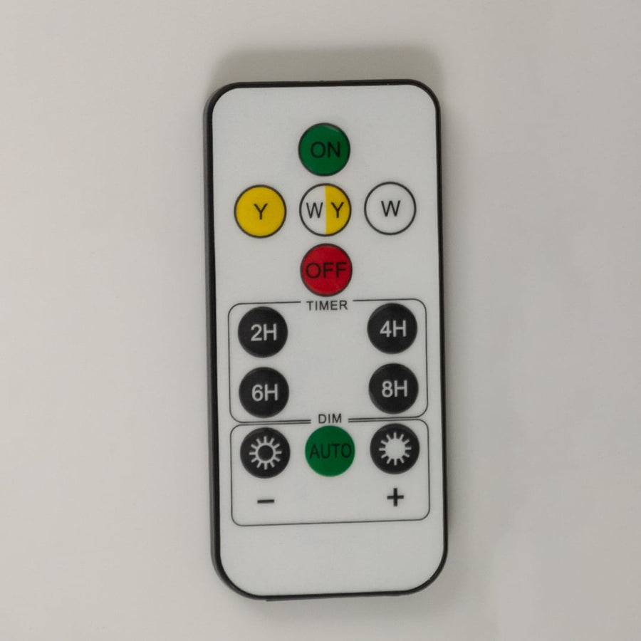 A compact remote control with multiple clearly labeled buttons displayed on a white background showing lighting modes timers and brightness settings in a simple layout.