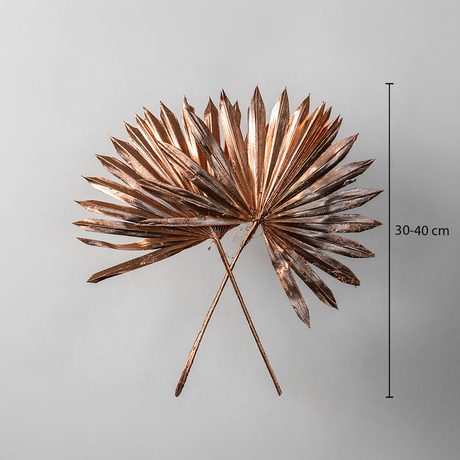 Two rose gold metallic painted dried palm sun fan leaves showing a thirty to forty centimeter height on white backdrop.