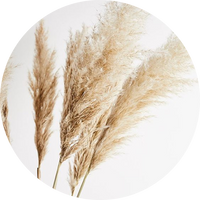 Pampas