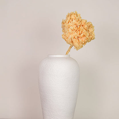 Single preserved dried flower stem displayed on a clean white background highlighting natural texture soft beige tones and handcrafted botanical decor appeal.