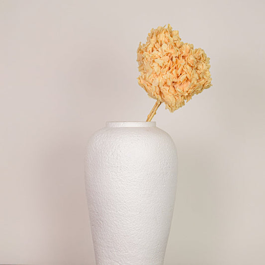 Single preserved dried flower stem displayed on a clean white background highlighting natural texture soft beige tones and handcrafted botanical decor appeal.