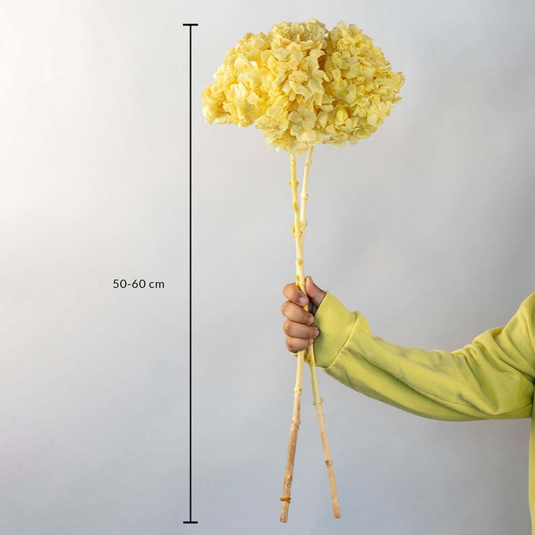 Artificial yellow hydrangea flower stem 50 to 60 cm tall with natural wood stick ideal for decorative vases and home styling.