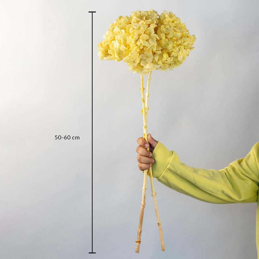 Artificial yellow hydrangea flower stem 50 to 60 cm tall with natural wood stick ideal for decorative vases and home styling.
