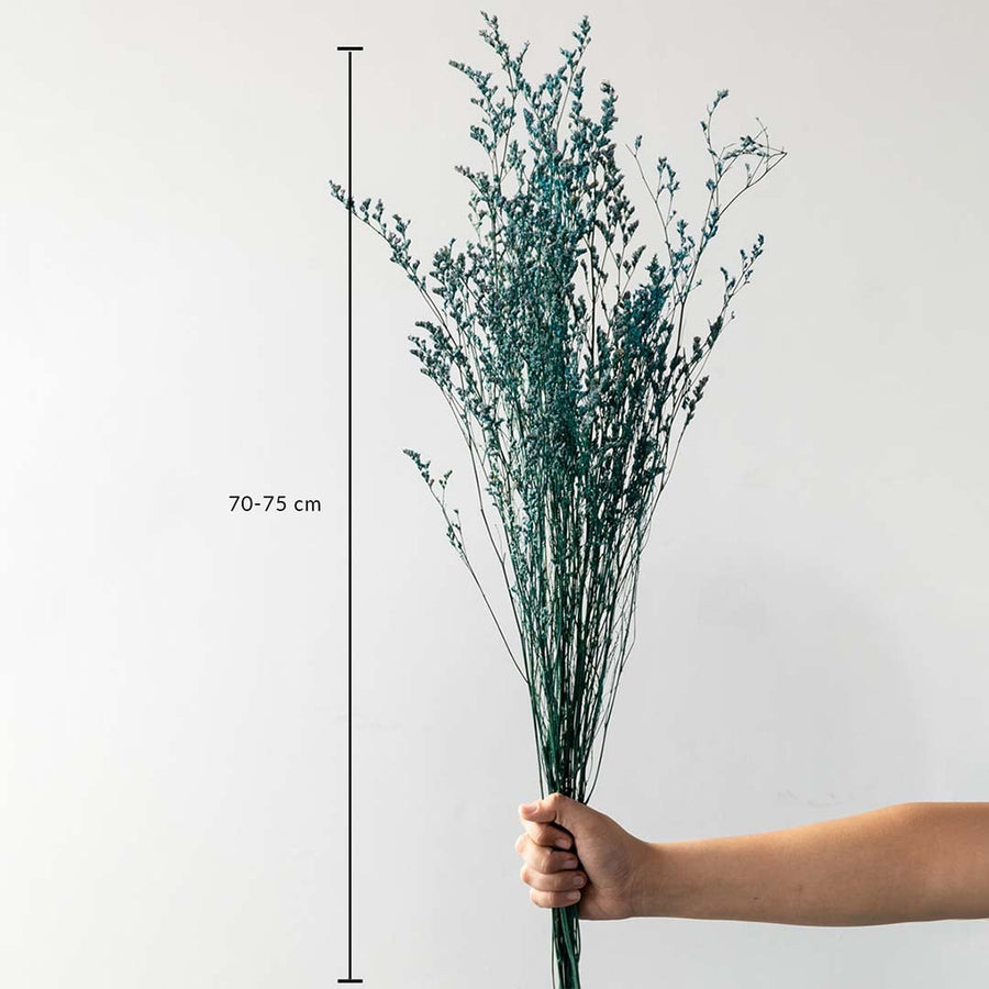 Preserved limonium foliage stem in teal green 70 to 75 cm tall with natural stick perfect for vases floral decor and interiors.