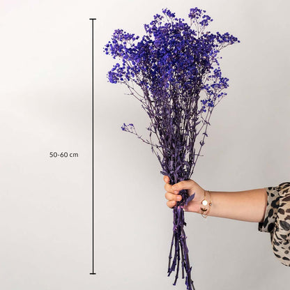 Preserved purple gypsophila bouquet 50 to 60 cm long shown for size reference perfect for modern home flower arrangements.