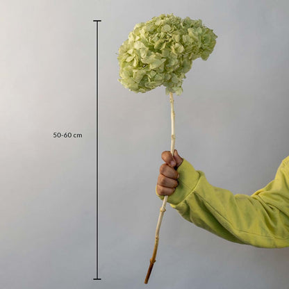 Artificial green hydrangea flower stem with realistic petals and natural stick perfect for vase arrangements and home decor.