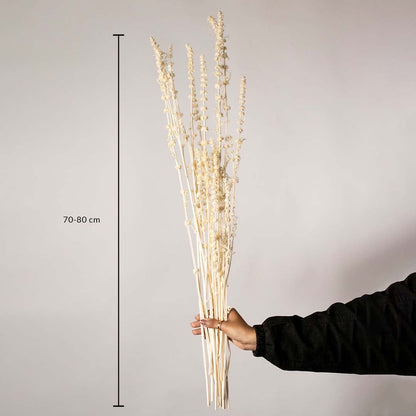 Cream white handmade shaved wood spiral stems showing a seventy to eighty centimeter height measurement on white backdrop.