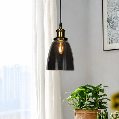 A modern pendant light with a dark smoked glass dome shade and a brass-colored socket, hanging in a bright room next to a window with sheer curtains, a green potted plant, and a framed print on the wall.